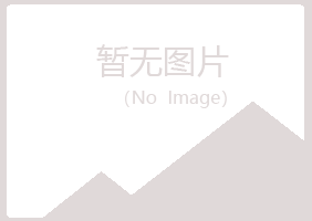 吴忠紫山服务有限公司